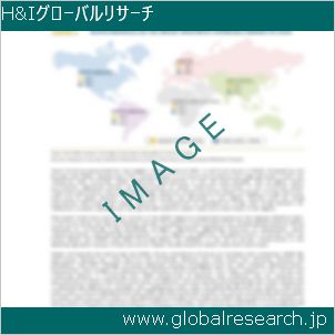 グローバルリサーチ調査レポートのイメージ